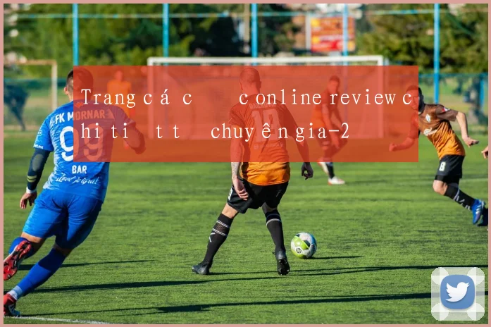 Trang cá cược online review chi tiết từ chuyên gia