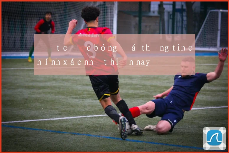 Đặt cược bóng đá thông tin chính xác nhất hiện nay