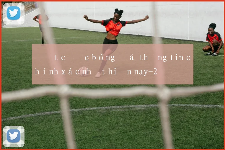 Đặt cược bóng đá thông tin chính xác nhất hiện nay